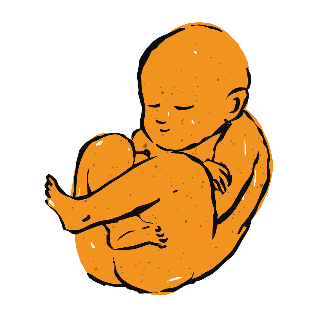 An orange baby rests in the foetal position